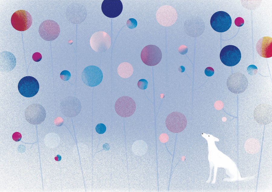 Illustration pour l'association de sauvetage de Galgos, Lévriers sans Frontières